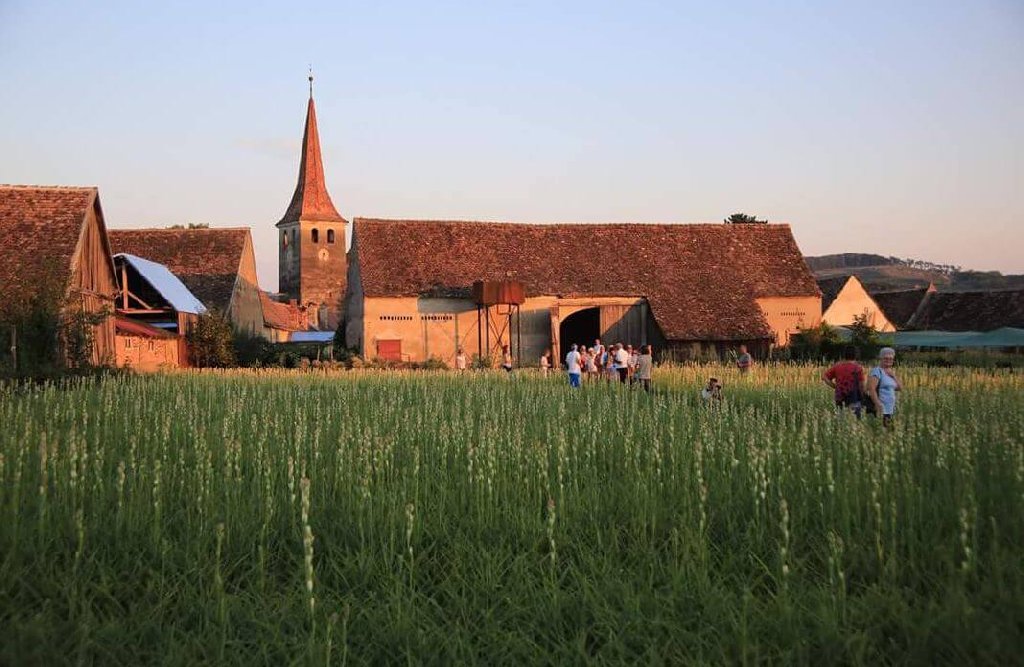 EXCURSIE 2 ZILE FESTIVALUL TUBEROZELOR HOGHILAG
